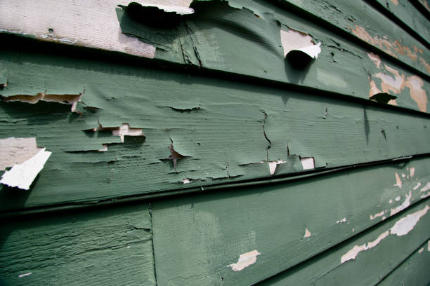 Best Commercial Junk Removal  in Eagle Butte, SD